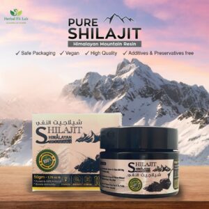 Shilajit: An Ayurvedic Tonic for Overall Wellness (Not intended to diagnose or treat medical conditions)